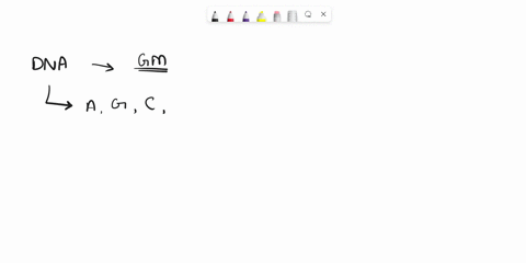 question-10-2-points-saved-write-the-sequence-of-the-template-strand-obtained-from-the-autoradiogram-shown-below-indicate-the-and-ends-5-aagtctgagcg3-previous-pagc-next-page-page-10-of-14-00288