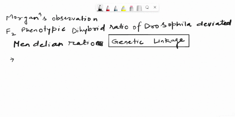 in-a-dihybrid-cross-white-eyed-yellow-bodied-female-drosophila-crossed-with-red-eyed-brown-bodied-male-drosophila-produced-in-f2-generation-13-percent-recombinants-and-987-percent-progeny-wi-11798