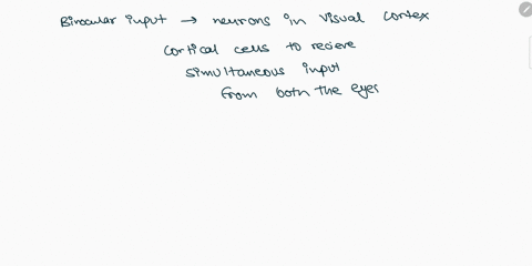 what-early-experience-is-necessary-to-maintain-binocular-input-to-the-neurons-of-the-visual-cortex-4-19098