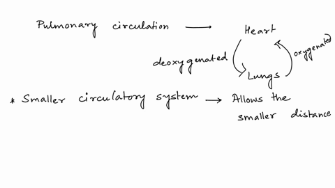 which-of-the-following-is-true-regarding-pulmonary-circulation-select-one-a-it-is-the-larger-of-the-two-circulatory-systemsb-it-is-a-low-pressure-system-that-allows-for-improved-gas-exchange-49292