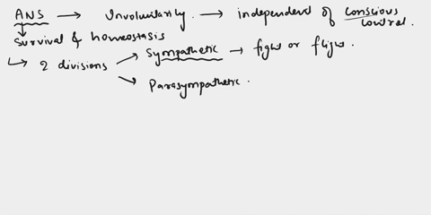 question-11-of-26-which-characteristics-apply-to-the-autonomic-nervous-system-activated-by-centers-in-the-cerebral-cortex-divided-into-sympathetic-and-parasympathetic-divisions-controls-skel-18349