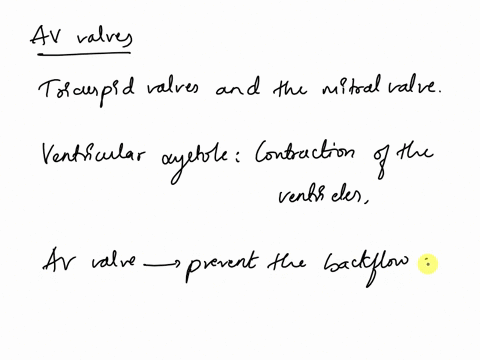 the-_____-prevent-the-av-valves-from-bulging-into-the-atria-during-ventricular-systole-a-tendinous-cords-b-pectinate-muscles-c-trabeculae-carneae-d-av-nodes-e-cusps-09466