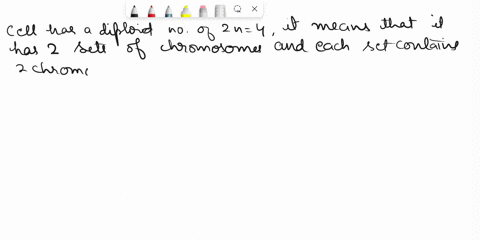 how-many-tetrad-complexes-do-you-have-in-your-cellwhich-is-2n4-tetrads-81448