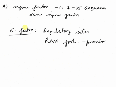 sigma-factors-affect-gene-expression-partly-through-variation-in-promotors-dependent-on-the-same-sigma-factor-there-are-also-different-sigma-factors-that-act-to-coordinate-gene-expression-th-72707
