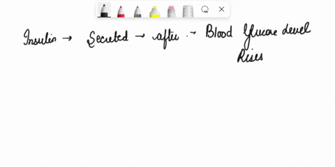 which-of-the-following-statements-is-false-select-one-insulin-secretion-is-actually-triggered-as-an-anticipation-t0-a-rise-in-blood-glucose-levels-feed-forward-glucagon-is-a-pancreatic-hormo-95116