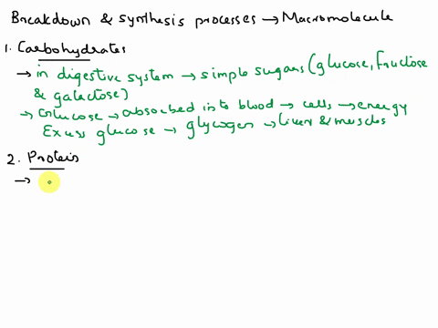 please-explain-the-process-of-how-each-macromolecule-is-broken-down-in-the-body-and-the-reaction-that-occurs-when-the-monomers-are-used-by-your-body-to-build-new-macromolecules-77715