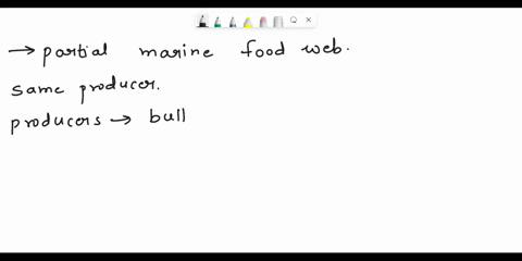 a-partial-marine-food-web-is-shown-which-organism-all-consume-the-same-producer-a-crabspilchardsblennies-btigershark-dolphin-octopuses-csea-urchins-crab-octopuses-deuphausiidssweeps-water-fl-75256