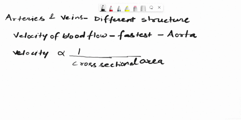 compare-and-contrast-the-structure-and-function-of-arteries-and-veins-then-explain-why-arteries-and-veins-must-have-different-structures-based-on-the-velocity-and-direction-of-blood-flow-thr-82488