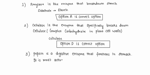 1the-substrates-for-amylase-isare-astarch-bcellulose-cpeptides-dstarch-and-peptides-2which-enzyme-breaks-down-cellulose-aamylase-bpepsin-cpeptidase-dcellulase-3pepsin-is-most-active-in-the-a-89531
