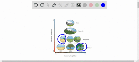 why-do-different-biomes-have-different-average-levels-of-biodiversity-because-evolution-might-have-been-slower-in-some-biomes-b-because-they-are-in-different-parts-of-the-world-c-average-bio-13313