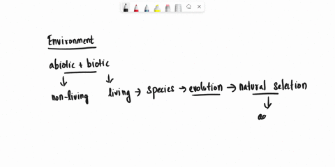 adaptive-radiation-occurs-when-a-one-species-gives-rise-to-multiple-closely-related-species-b-several-species-adapt-to-one-environment-c-species-adapt-to-environments-with-high-radiation-lev-98654