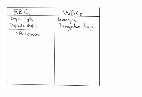 what-are-the-differences-between-red-blood-cells-and-white-blood-cells-in-terms-of-both-structures-ihat-they-have-or-may-not-have-and-functions-2-marks-table-93-comparisons-of-rbc-and-wbc-re-54417