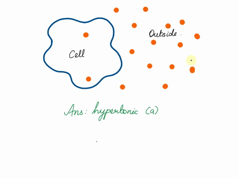 if-a-cell-has-less-concentration-of-solutes-inside-than-outside-it-is-in-an-___________-environment-hypertonic-isotonic-hypotonic-mesotonic-27704