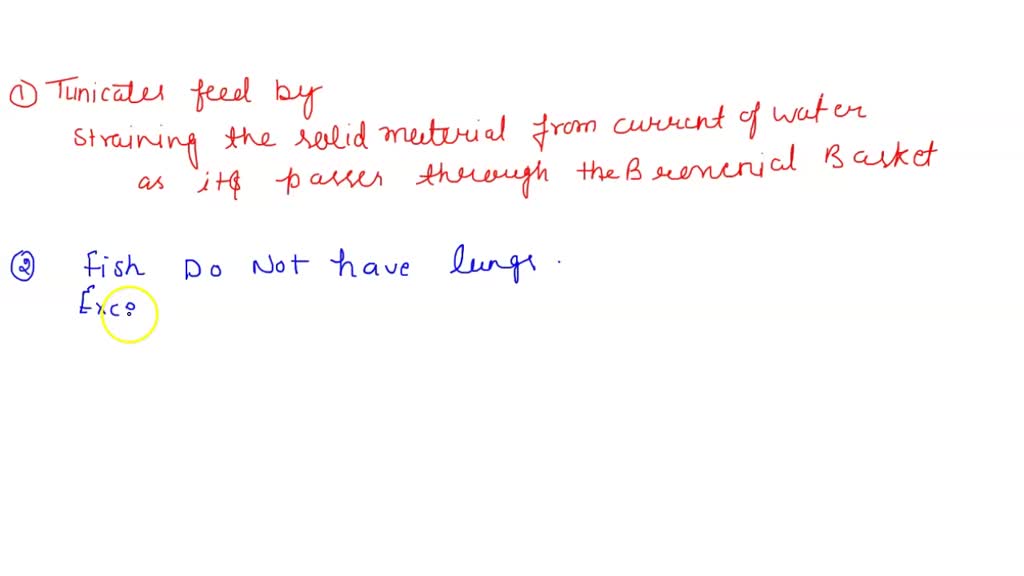 SOLVED: the whale shark has rows of teeth despite being a filter feeder