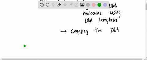 the-following-enzymes-are-present-during-dna-replication-dna-ligase-dna-helicase-dna-polymerase-and-rna-primase-the-correct-sequence-that-these-enzymes-are-active-in-the-replication-process-are-a-rna-
