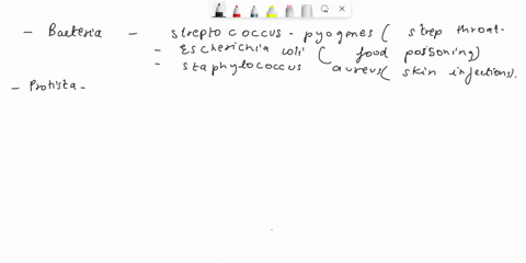 roal-world-apalicallon-chain-of-infection-belor-someone-shows-signs-and-symptoms-0l-an-infection-process-involving-s-siens-iusl-occui-this-diocess-called-the-chain-o-infeclon-this-activlty-i-09426