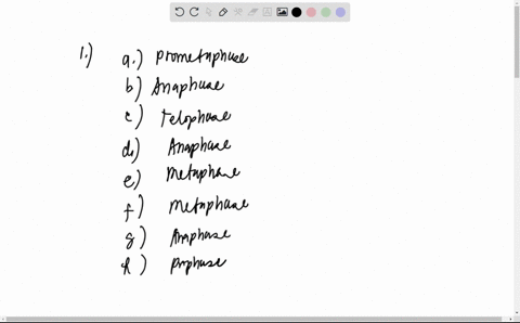 can-somebody-please-solve-these-two-questions-for-me-plzzz-1-match-the-description-with-the-correct-stage-of-mitosis-you-will-use-some-options-more-than-once-_____-kinetechore-microtubules-a-40912