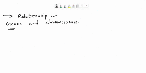help-please1-question-2-what-relationship-exists-between-genes-and-chromosomes-a-genes-are-located-on-chromosomes-which-are-found-in-the-nucleus-of-cells_-b-genes-produce-chromosomes-which-t-52167