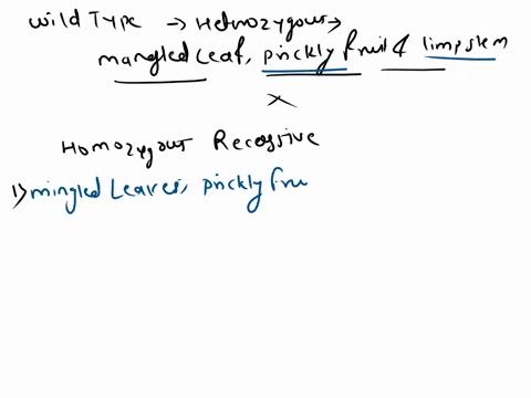 a-wild-type-plant-that-is-heterozygous-at-the-mangled-ieaf-prickly-fruit-and-limp-stem-loci-is-crossed-with-a-plant-that-is-homozygous-recessive-for-each-the-two-least-common-phenotypes-amon-35691