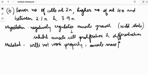 need-help-please-muscles-are-made-up-of-many-muscle-fiberseach-muscle-fiber-is-a-multi-nucleated-cell-made-bv-the-fusion-of-many-myocytes-muscle-cells-a-muscle-fiber-does-not-divide-a-decrea-65113