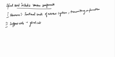 what-is-our-spinal-cord-made-of-01373
