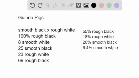 a-third-grader-decided-to-breed-guinea-pigs-for-her-school-science-project-she-went-to-a-pet-store-and-bought-a-male-with-smooth-black-fur-and-a-female-with-rough-white-fur-the-two-guinea-pi-92666