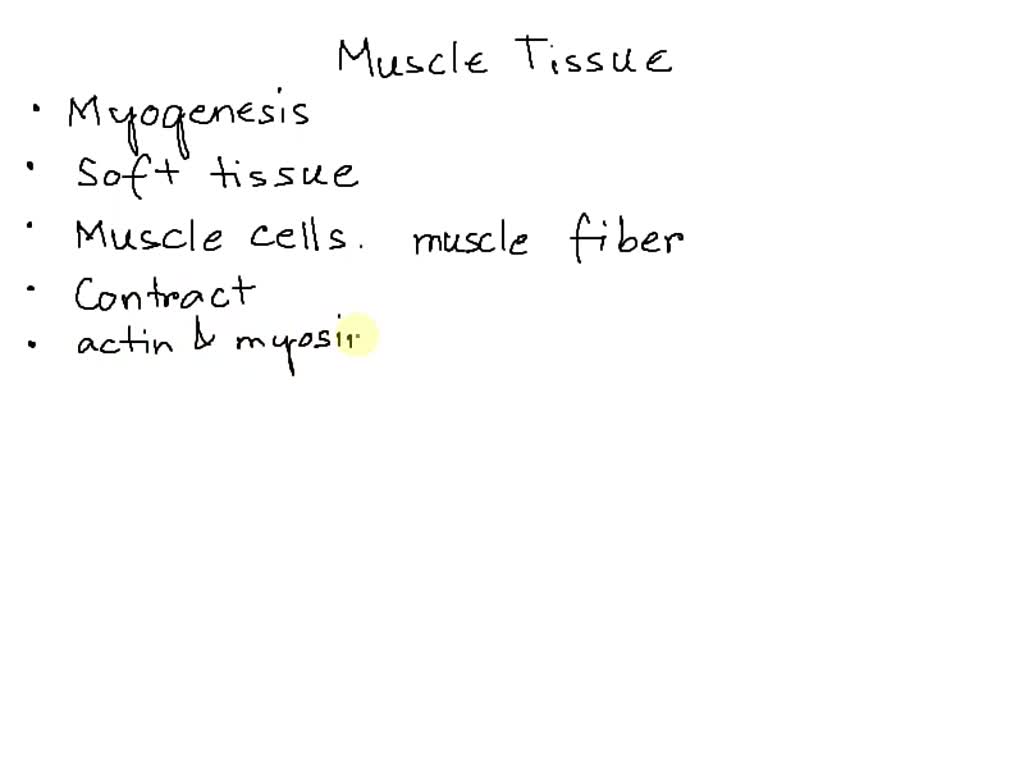 lesson-plan-muscular-system-blinking-lab-getting-nerdy-science