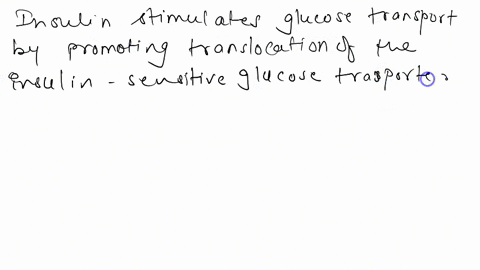 within-insulin-resistant-muscle-insulin-loses-its-ability-to-stimulate-the-translocation-of-glut4-storage-vesicles-and-glucose-uptake-16708
