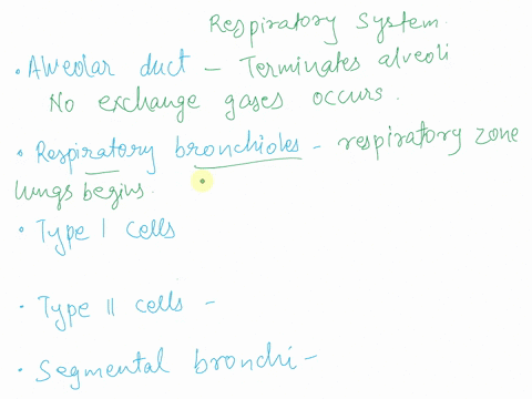 match-the-following-terms-to-their-definitions-drag-the-appropriate-labels-to-their-respective-targets_-terms-may-be-used-more-than-once-reset-help-alveolar-duct-no-exchange-of-gases-occurs-07648