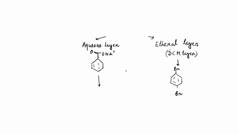how-is-14-dibromobenzene-recovered-after-the-extraction-28-how-is-4-chloroaniline-recovered-after-the-extraction-explain-why-can-you-recover-it-with-the-proposed-method-72994