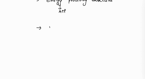 instructions-using-the-apa-format-write-a-300-word-essay-describing-the-composition-of-the-different-macromolecules-that-make-up-the-human-body-and-their-function-inside-the-cell-make-sure-t-12065