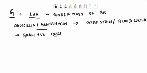 patient-g-is-a-50-year-old-woman-she-developed-several-intraabdominal-abscesses-following-surgery-for-a-kidney-transplant-treatment-with-iv-ampicillin-and-gentamicin-was-not-effective-the-pa-18782