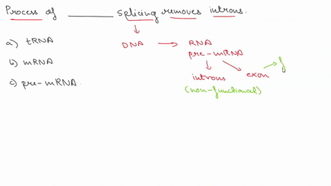 the-process-of-________-splicing-removes-introns-a-trna-b-mrna-c-pre-mrna-76052