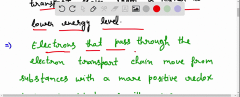 which-of-the-following-is-true-electrons-that-pass-through-the-electron-transport-chain-move-from-substances-with-a-more-negative-redox-potential-to-substances-with-a-more-positive-redox-pot-12176