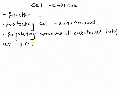 which-is-not-a-function-of-the-cell-membrane-93353
