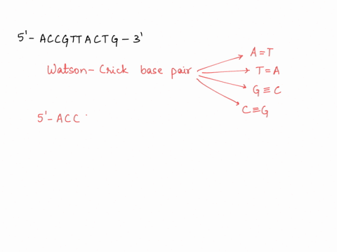a-short-fragment-of-dna-has-the-following-sequence-on-one-of-the-strands-5-accgttactg-3-assuming-normal-base-pairing-rules-are-followed-what-is-the-sequence-of-nucleotides-on-the-opposite-co-69421
