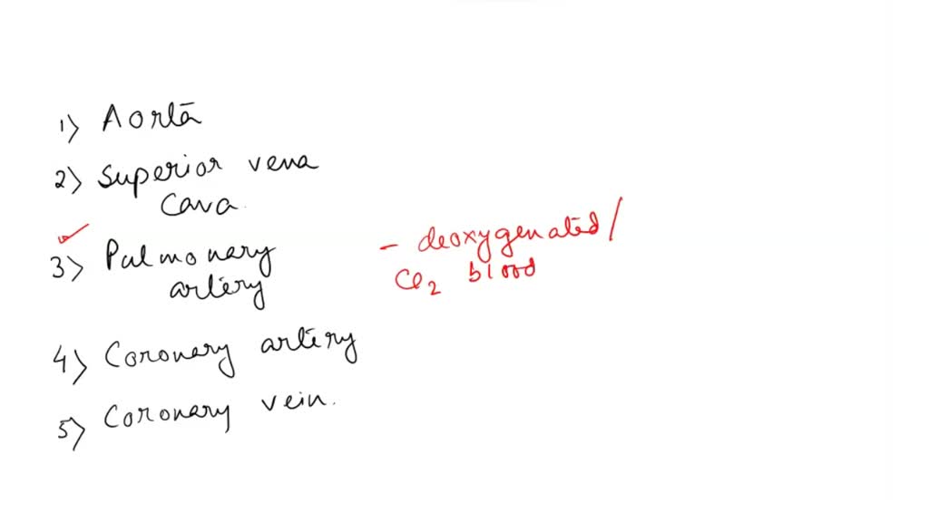 SOLVED: Activity 4: Tracing Blood Flow - Fetal Circulation Complete the ...