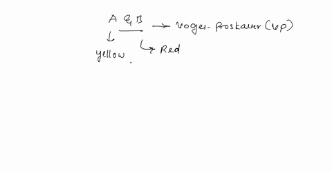 two-different-bacterial-samples-a-and-b-were-analyzed-with-the-voges-proskauer-vp-test-the-results-are-pictured-here-b-view-the-image-in-greater-detail-select-all-appropriate-statements-rega-57742