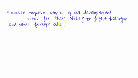 a-in-what-way-do-the-four-double-negative-stages-of-t-cell-development-demonstrate-the-organization-of-t-cell-development-according-to-spatial-parameters-b-the-affinity-model-can-help-explai-67595