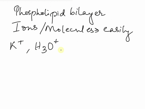 18-which-of-the-following-molecules-passes-through-a-lipid-bilayer-most-easily-select-one-potassium-ion-k-kot-b-glucose-initrogen-gas-n2-cholesterol-hydronium-ion-h30-57066