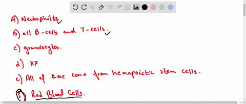 which-of-the-following-do-not-arise-from-hematopoietic-stem-cells-neutrophils-all-b-cells-and-t-cells-granulocytes-all-of-these-come-from-hemopoietic-stem-cells-red-blood-cells-67655