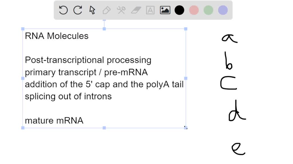 SOLVED: '1. The presence of a poly-A tail on a RNA molecule indicates ...