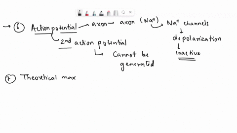 you-will-have-seen-that-an-action-potential-generated-very-soon-after-preceding-one-is-not-full-size-explain-this-observation-from-your-data-the-theoretical-maximum-frequency-at-which-nerve-33603