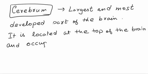 1pts-question-20-the-location-of-conscious-thought-processes-and-the-origin-of-all-complex-intellectual-functions-is-the-o-cerebrum-o-cerebellum-o-pons-ocorpus-callosum-o-hypothalamus-76505