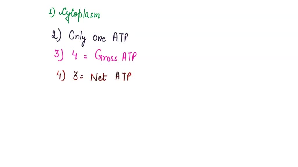 SOLVED: Step 1 - Glycolysis: Solved for you!How many ATPs are invested ...