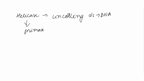 list-the-enzymes-involved-in-copying-dna-dna-replication-in-order-of-heir-aciion-in-this-process-select-one-ligase-rna-polymerase-lactase-helicase-primase-helicase-rna-polymerase-ligase-lacl-62851