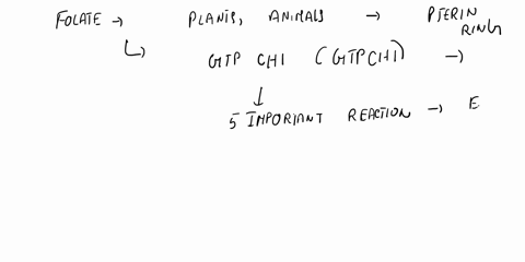 describe-the-folate-biosynthesis-and-metabolism-pathways-and-identify-three-different-classes-of-drugs-along-with-their-mechanism-of-action-that-have-been-discovered-involving-these-pathways-45944