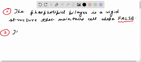 true-or-false-the-phospholipid-bilayer-is-a-rigid-structure-that-maintains-cell-shape-true-or-false-the-phospholipid-bilayer-is-unique-because-it-is-composed-of-phospholipids-that-have-hydro-04363