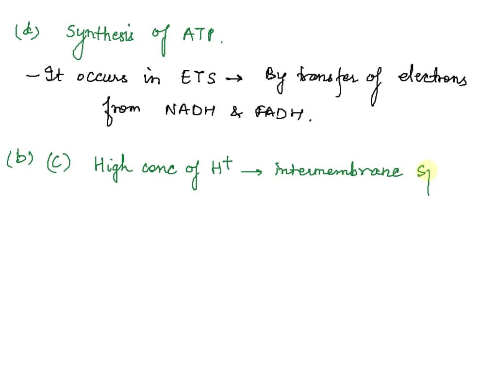 SOLVED: Aerobic respiration is a pathway involving a series of ...