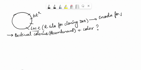 d-a-plasmid-used-as-a-cloning-vector-has-the-reporter-genes-tetr-tetracycline-resistance-and-iacz-8-galactosidase-with-restriction-sites-for-cloning-dna-fragments-within-lacz-what-should-be-08126